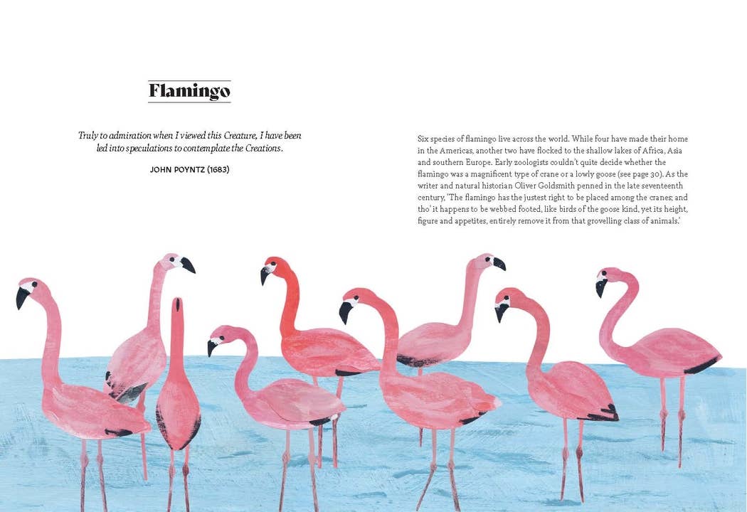 Bird Lore Book