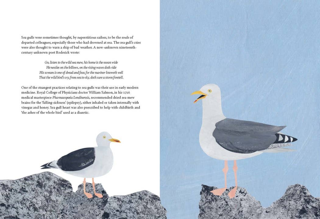 Bird Lore Book