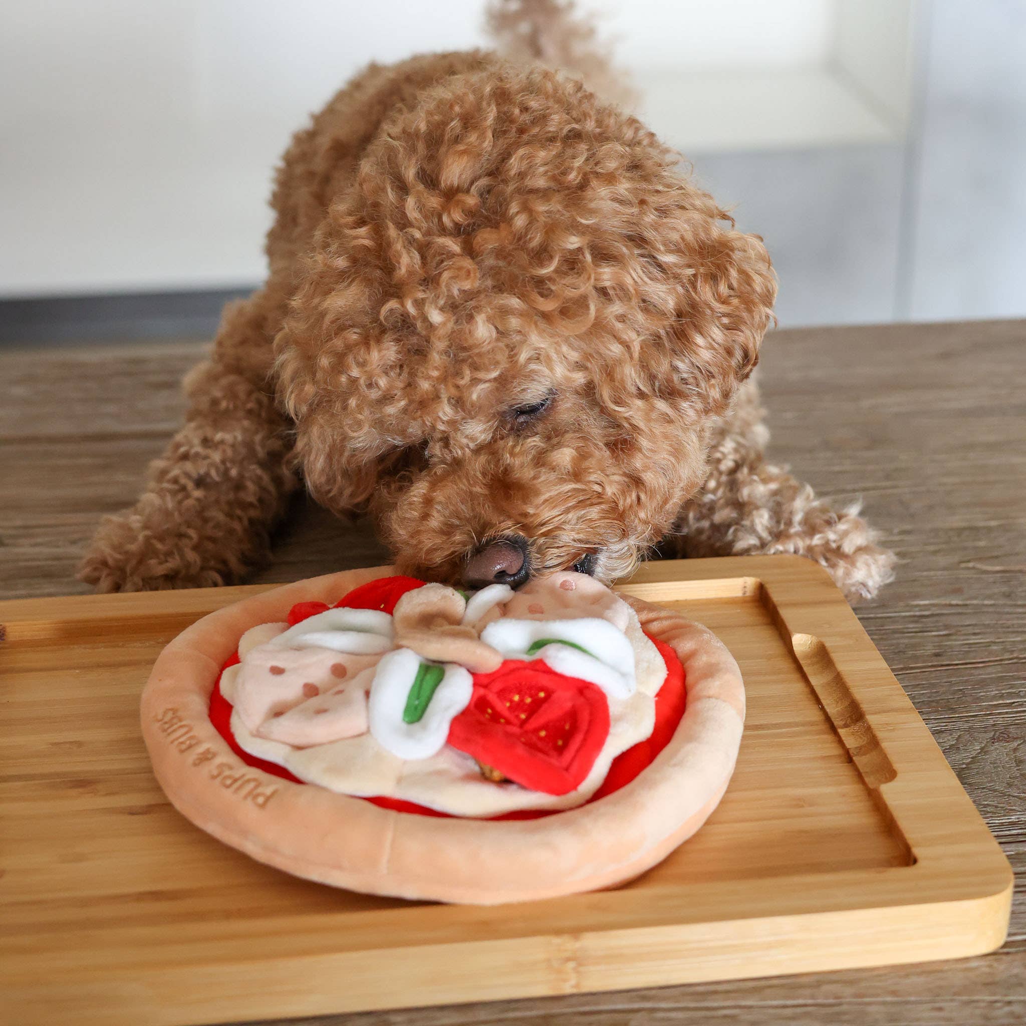 Pizza Snuffle Mat | Multi Layered
