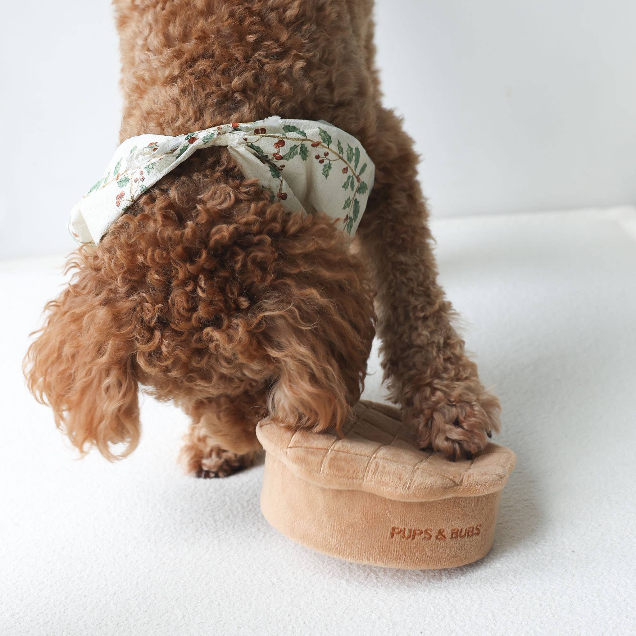 Apple Pie Forage Toy