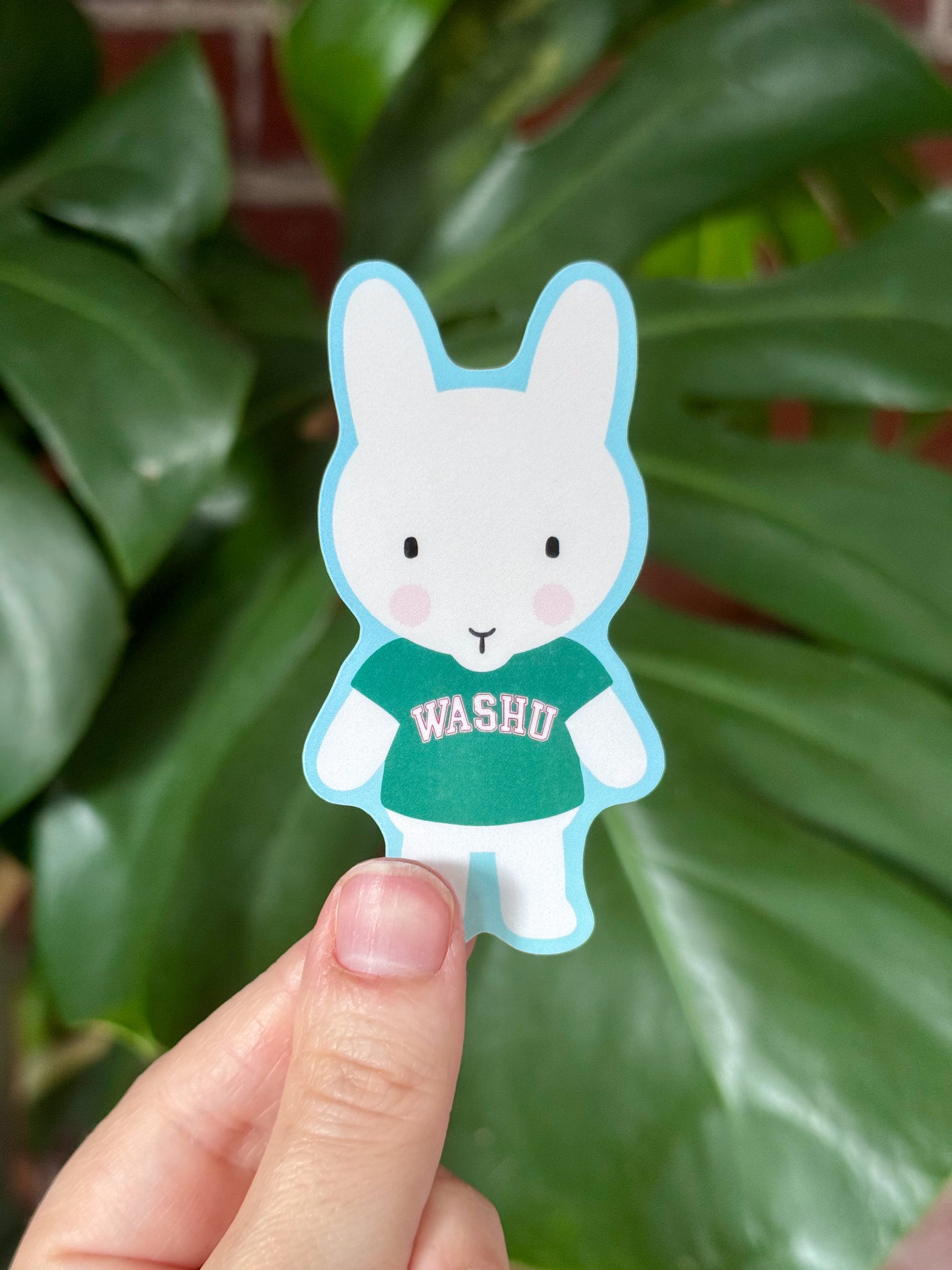 Clem Goes to College Sticker: WashU Edition!
