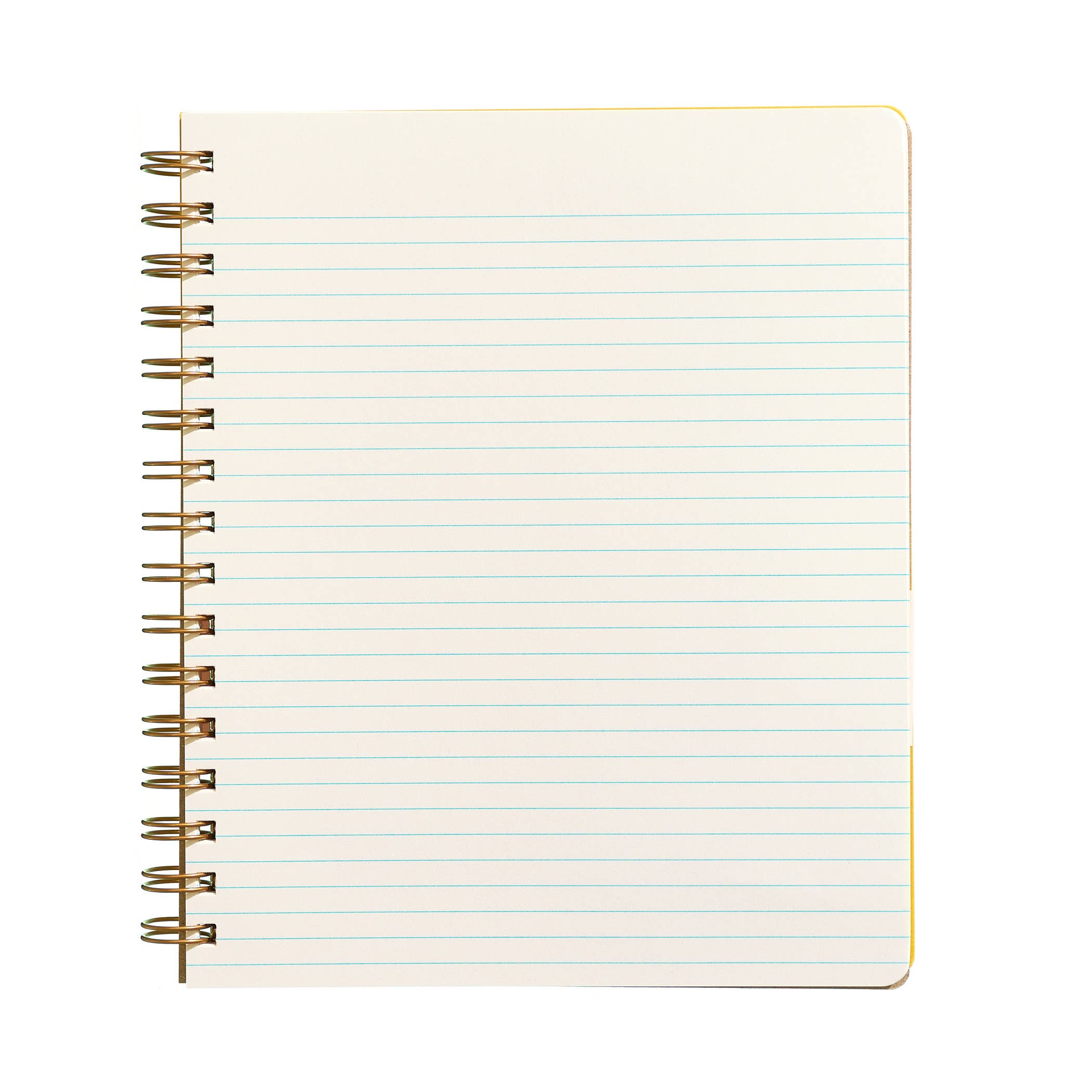 Standard Notebook, Shorthand Press - Ocean