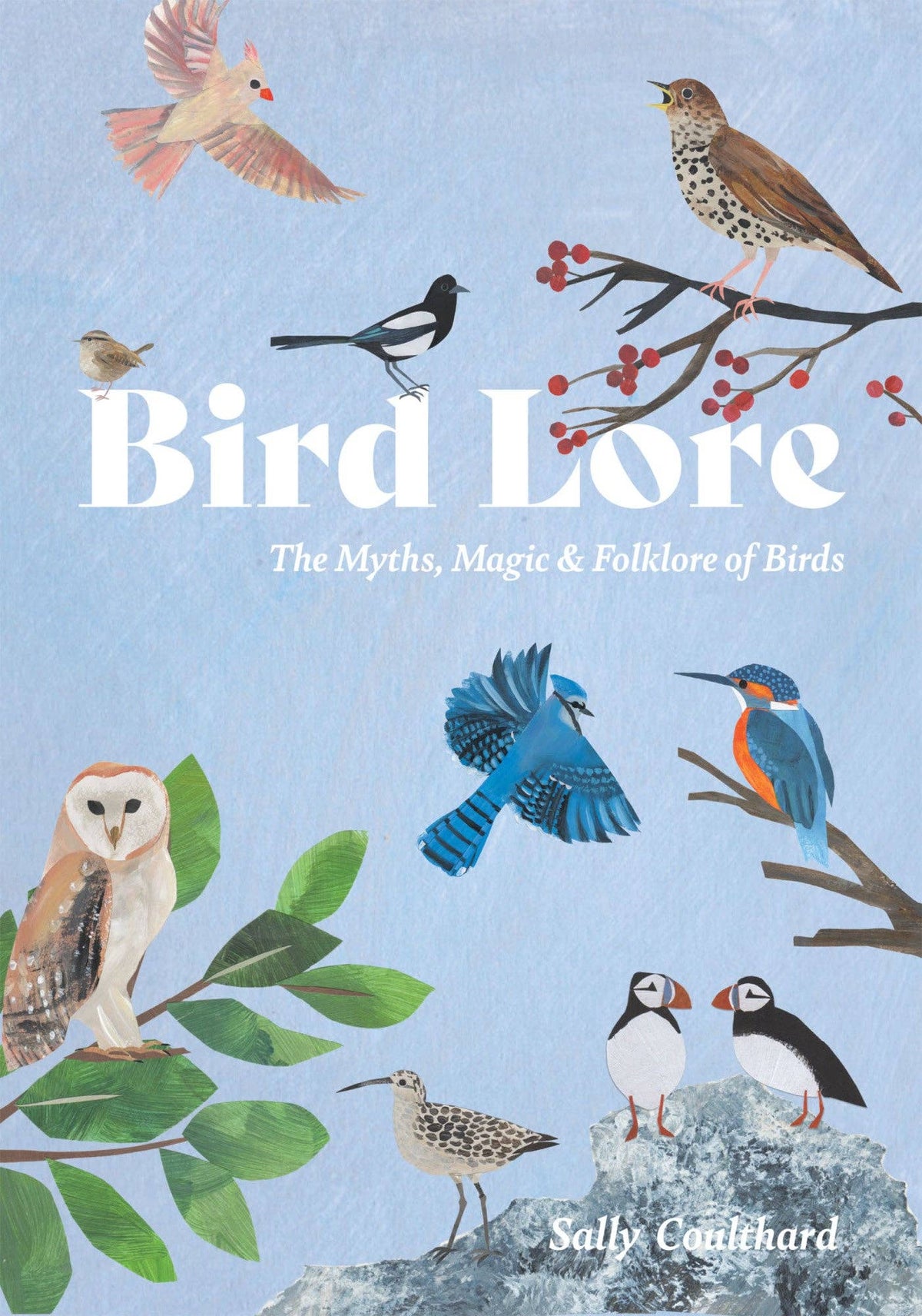Bird Lore Book