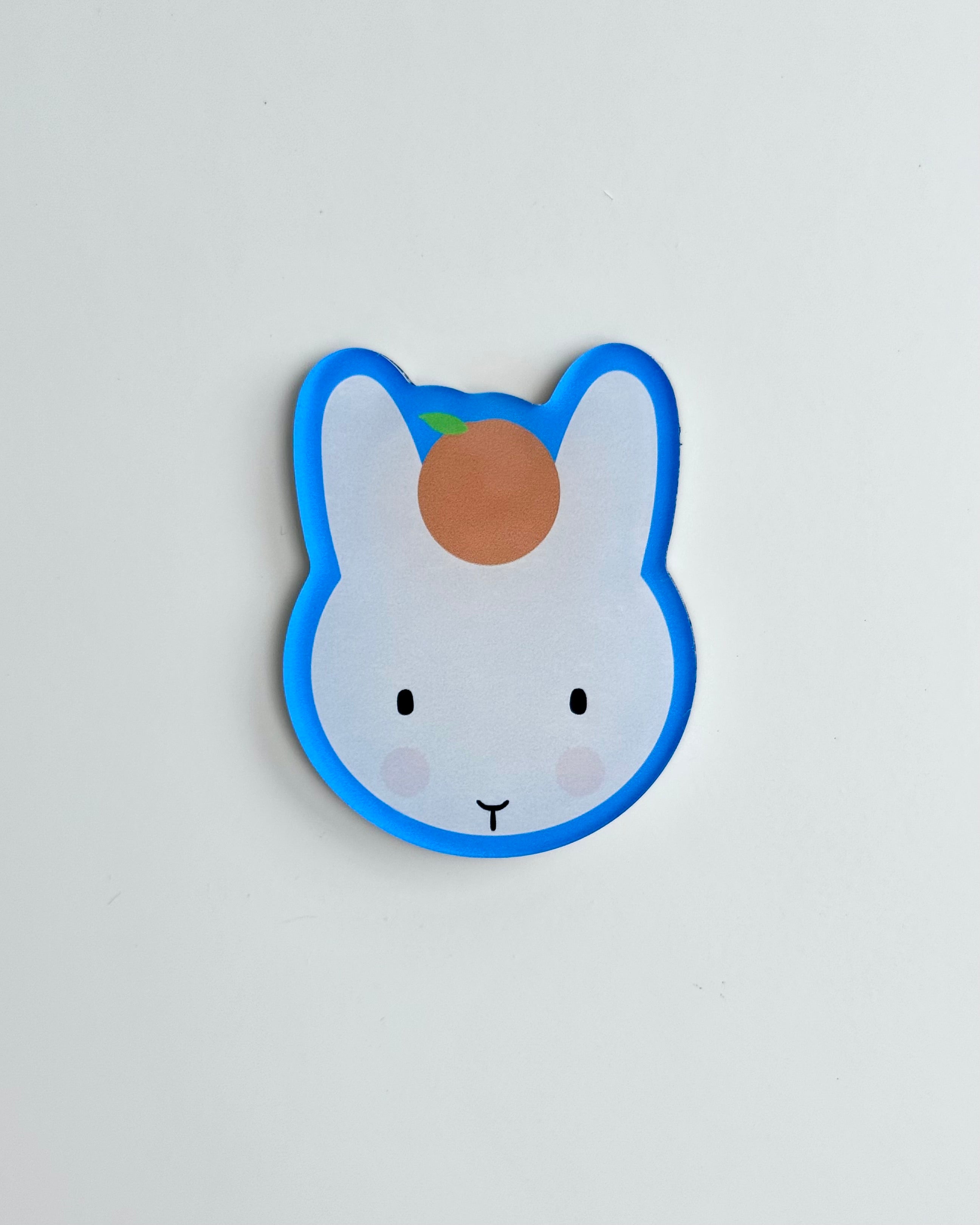 Clem the Bun with her Clementine Magnet