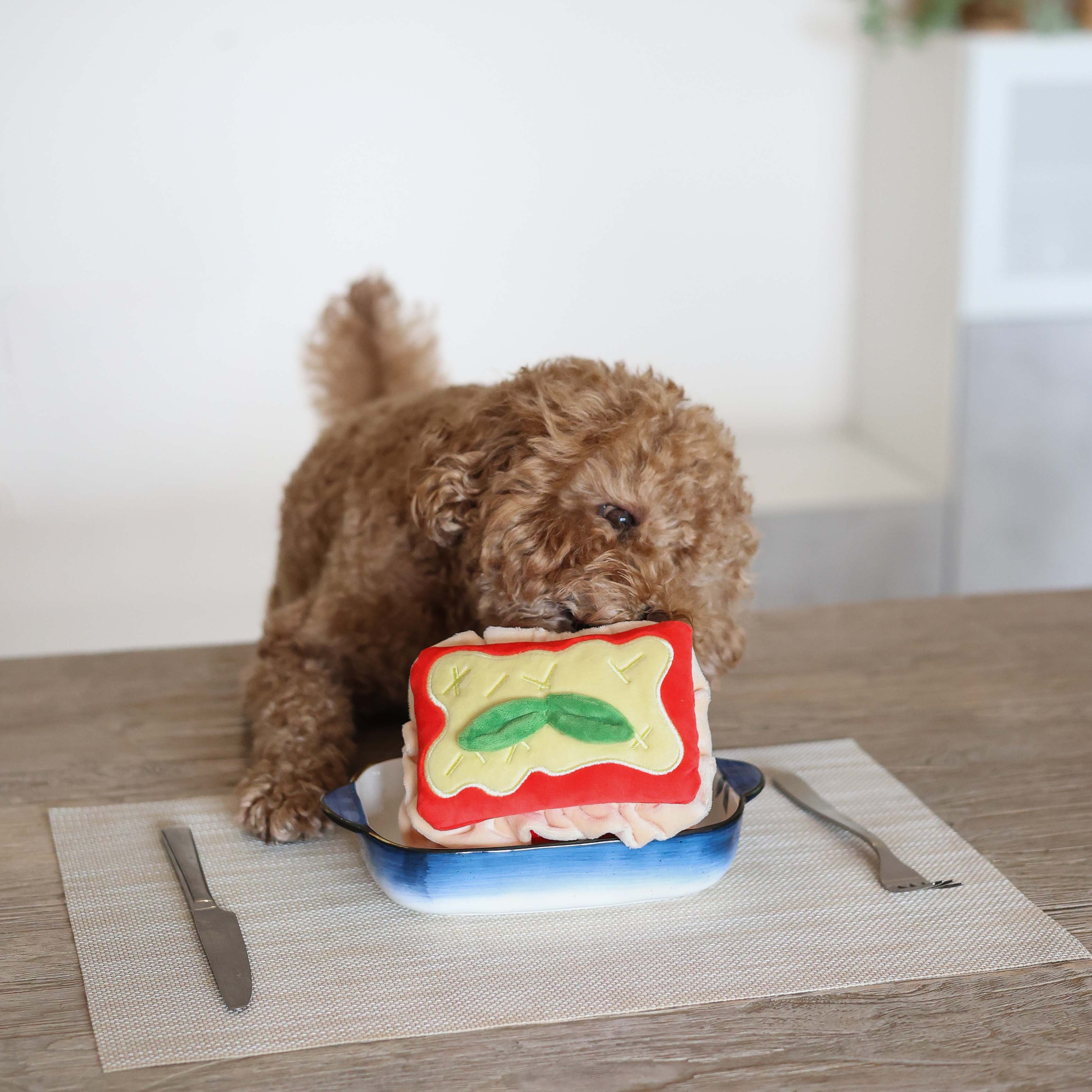 Lasagna Forage Toy