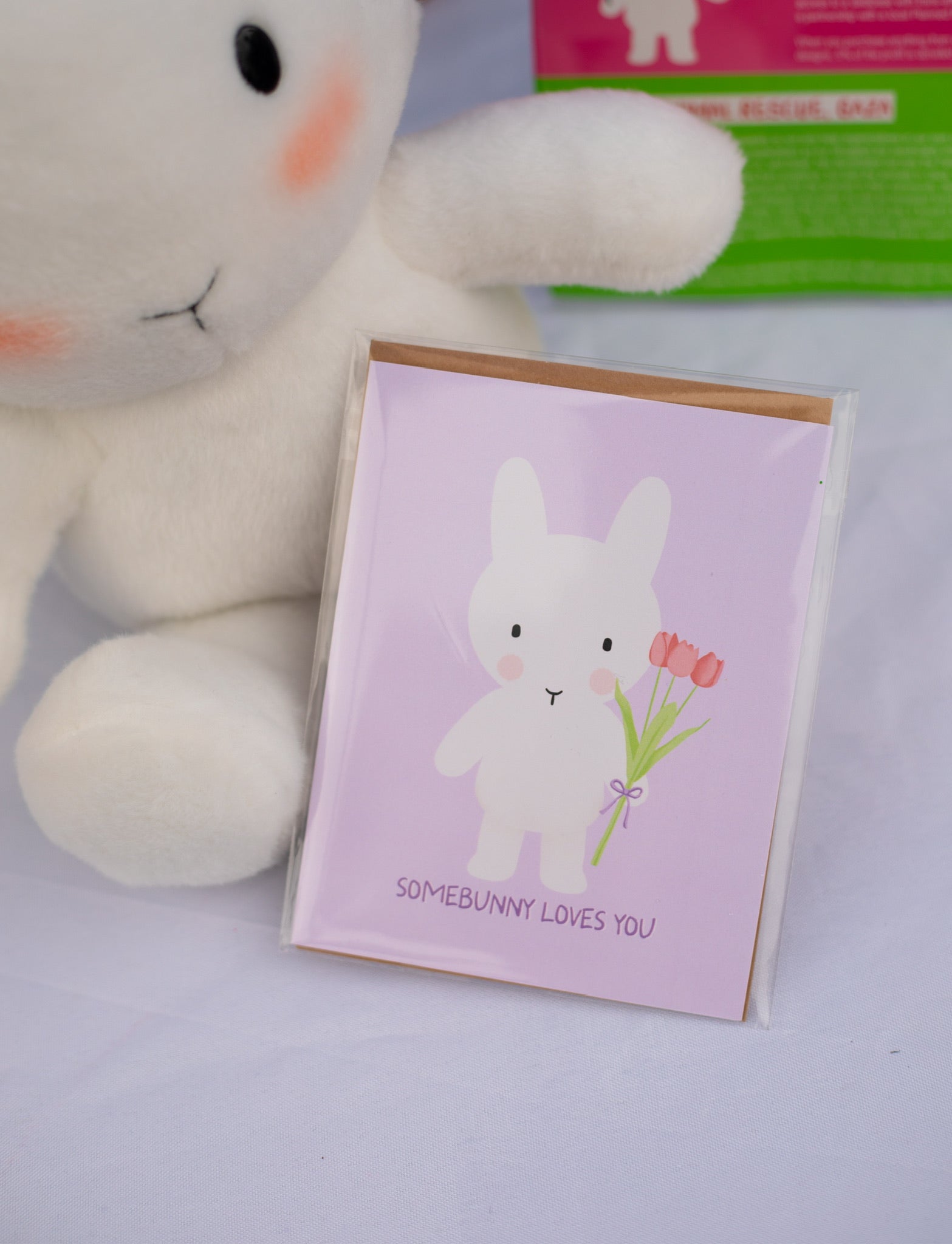Somebunny Loves You Card