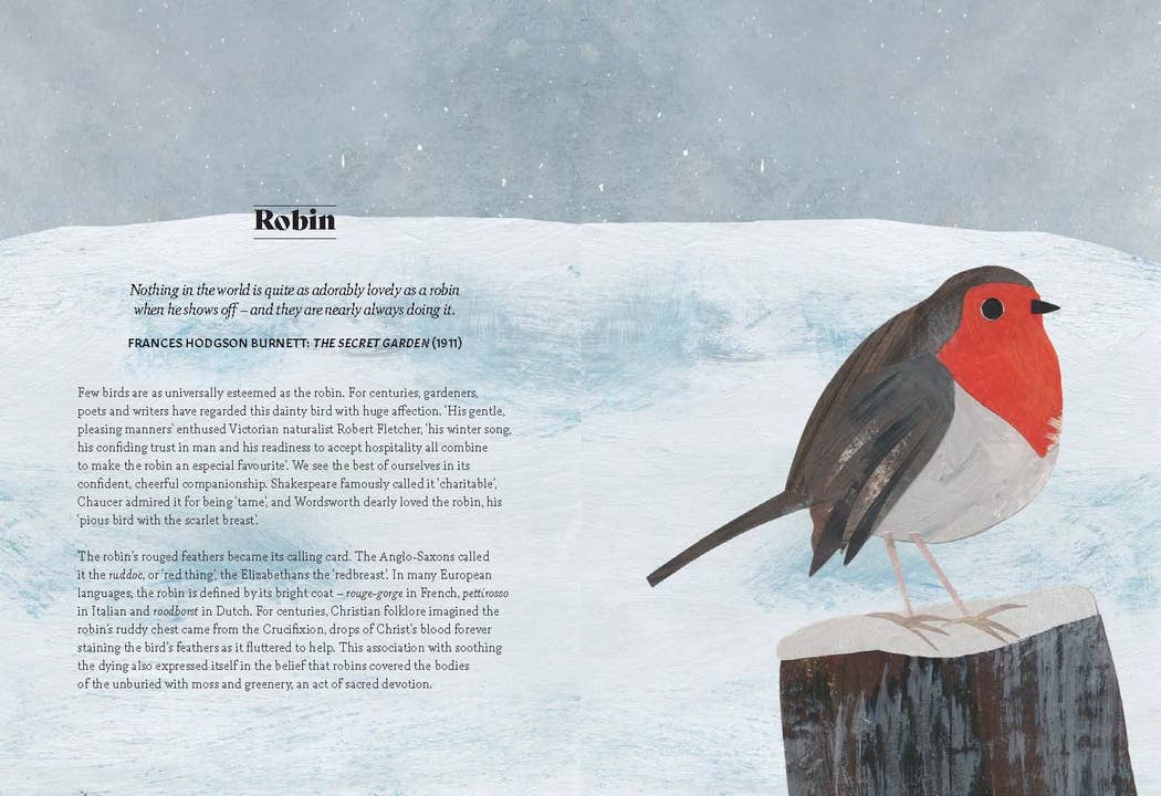 Bird Lore Book