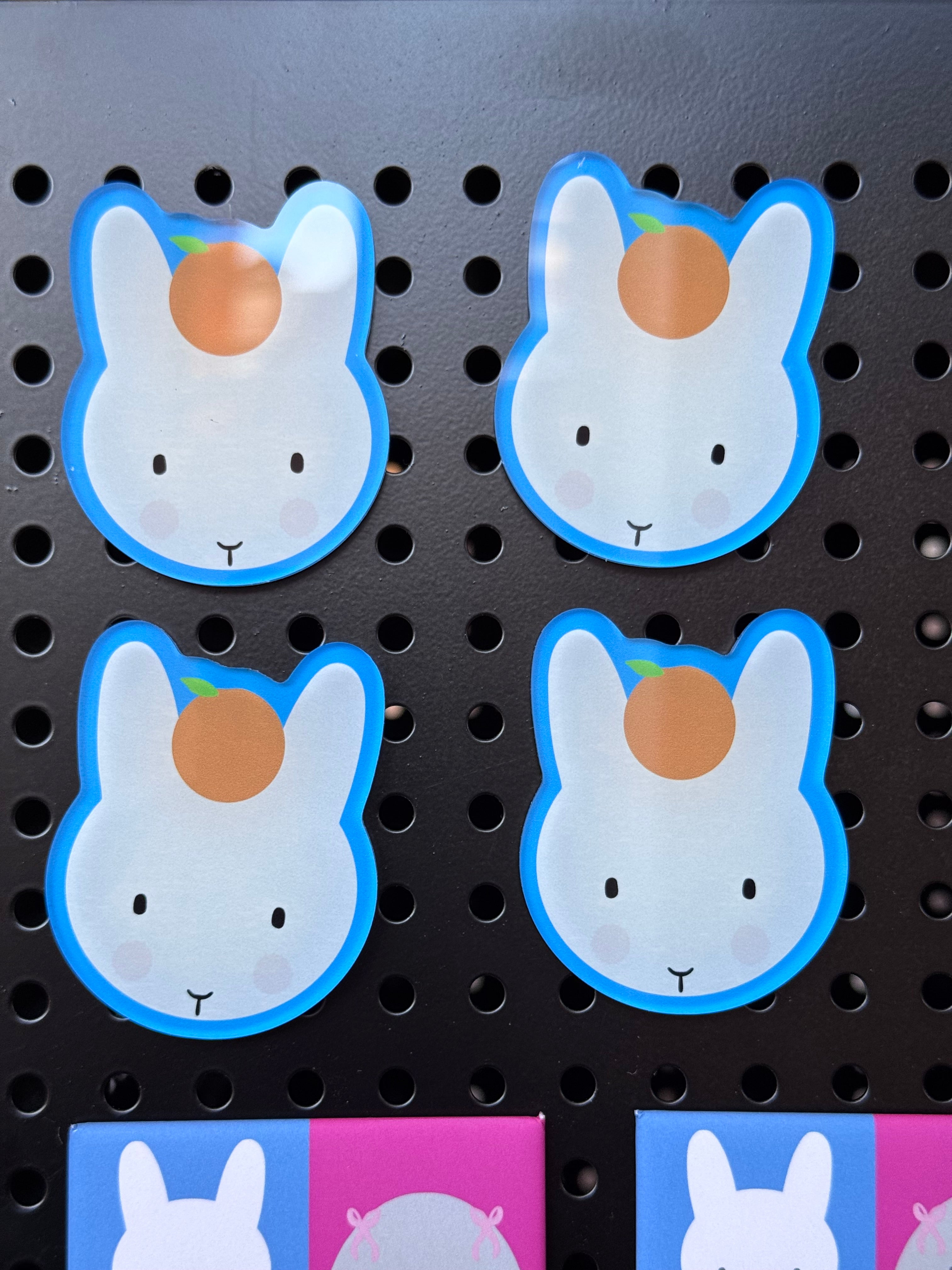 Clem the Bun with her Clementine Magnet