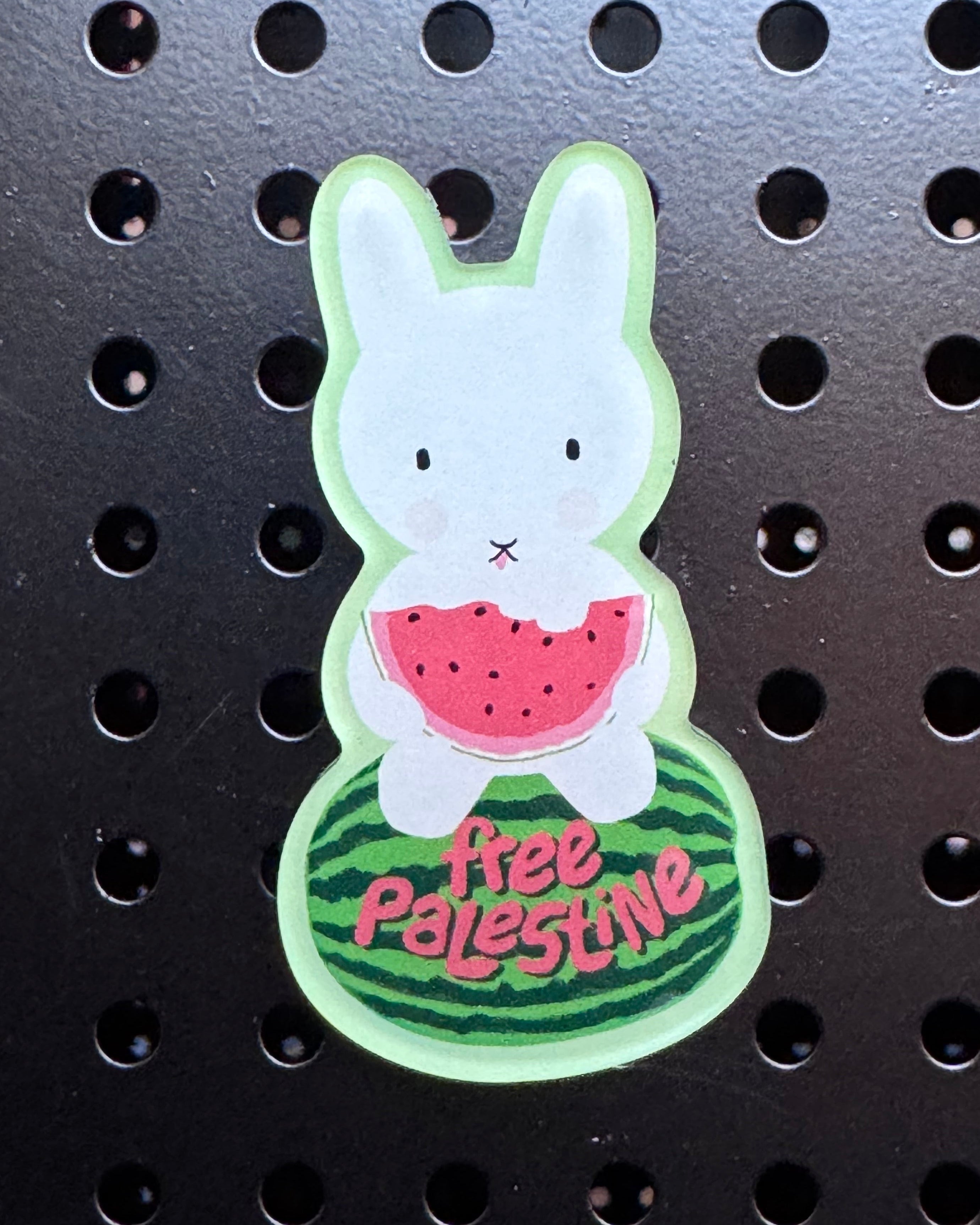 Free Palestine Magnet