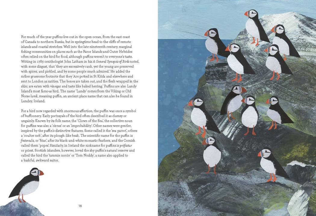 Bird Lore Book
