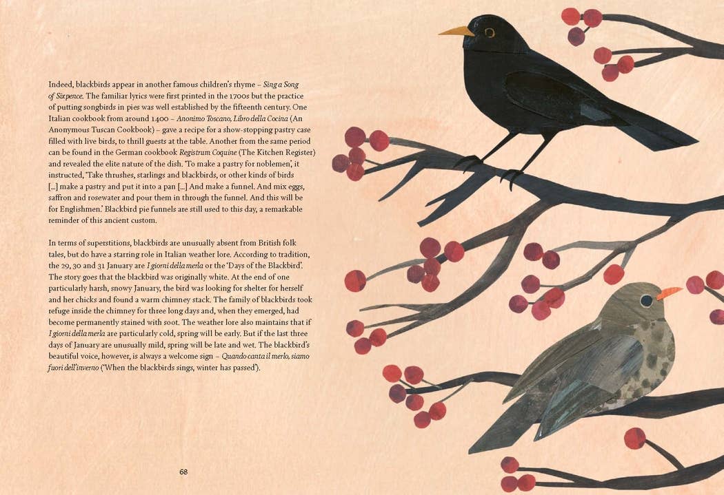 Bird Lore Book
