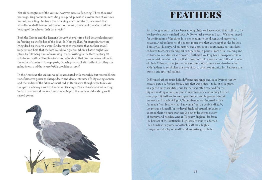 Bird Lore Book