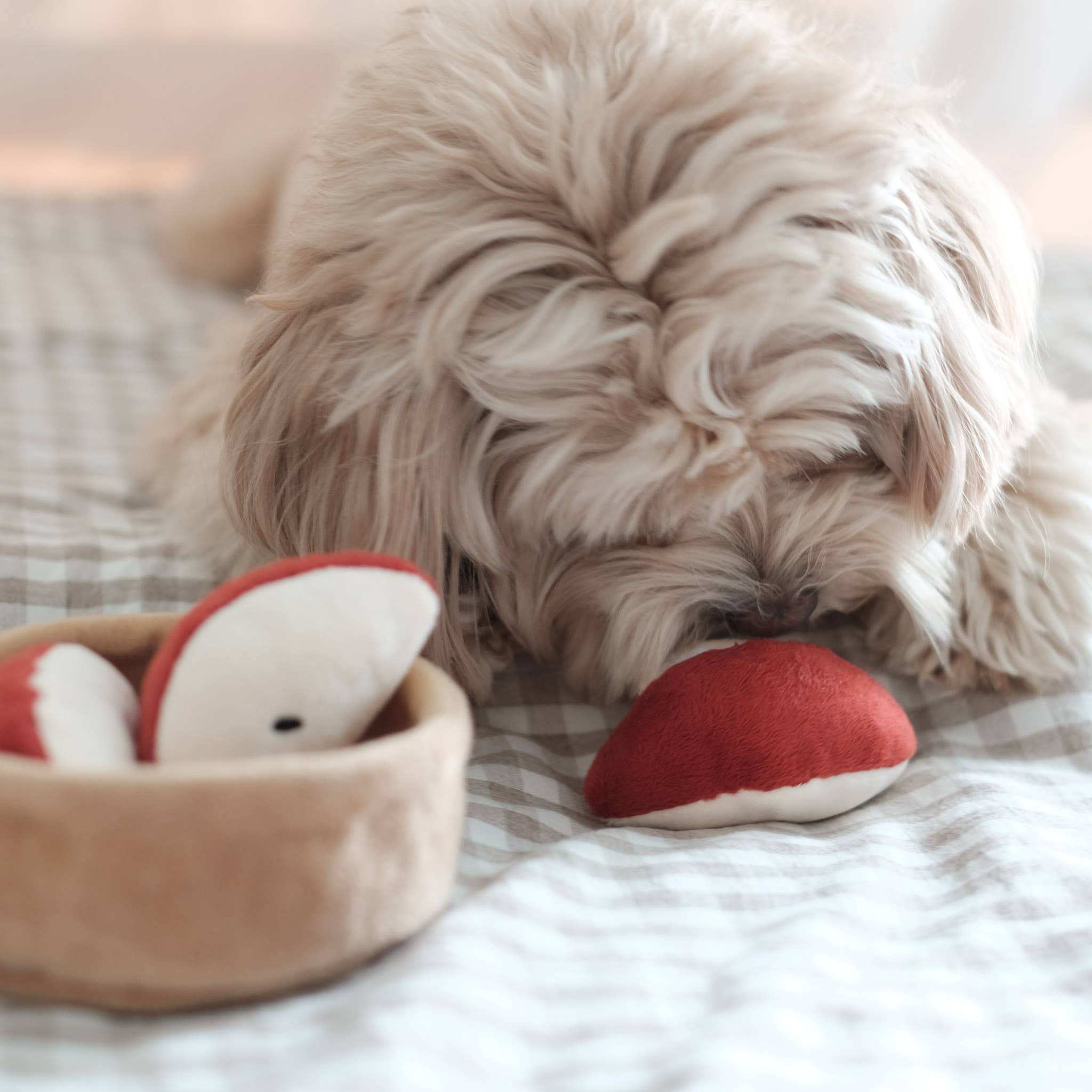 Apple Pie Forage Toy