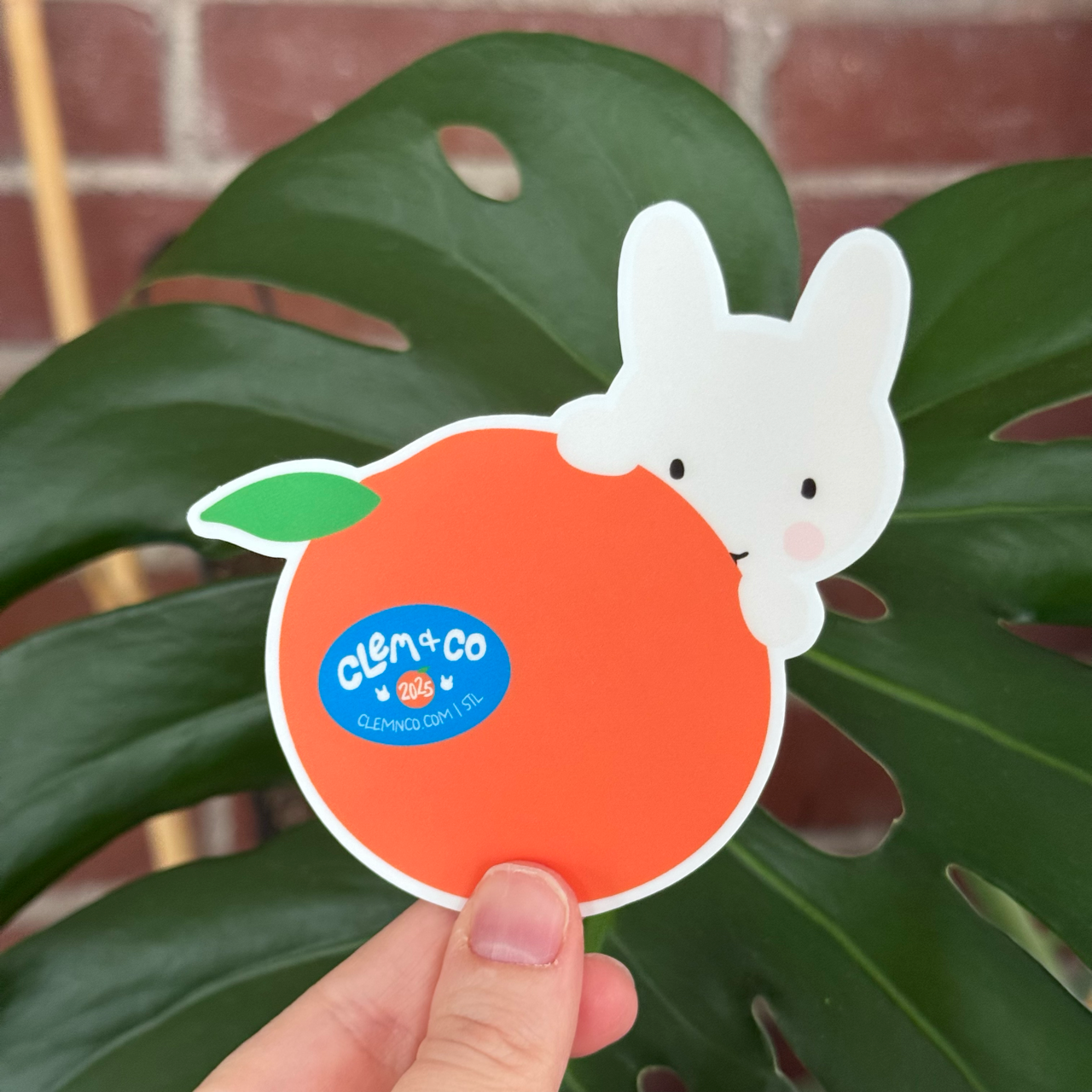 Clem the Bun with her Clementine Sticker