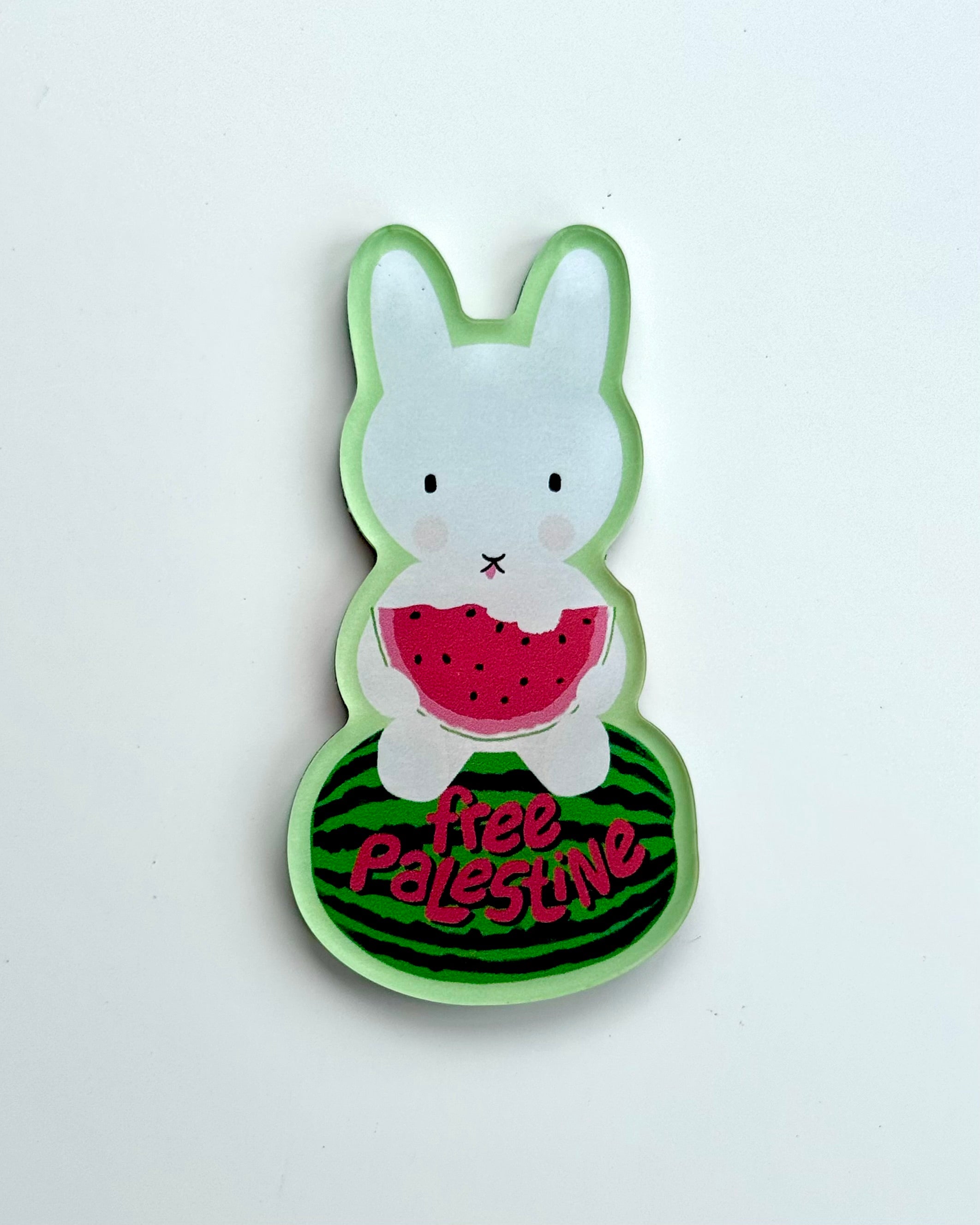 Free Palestine Magnet
