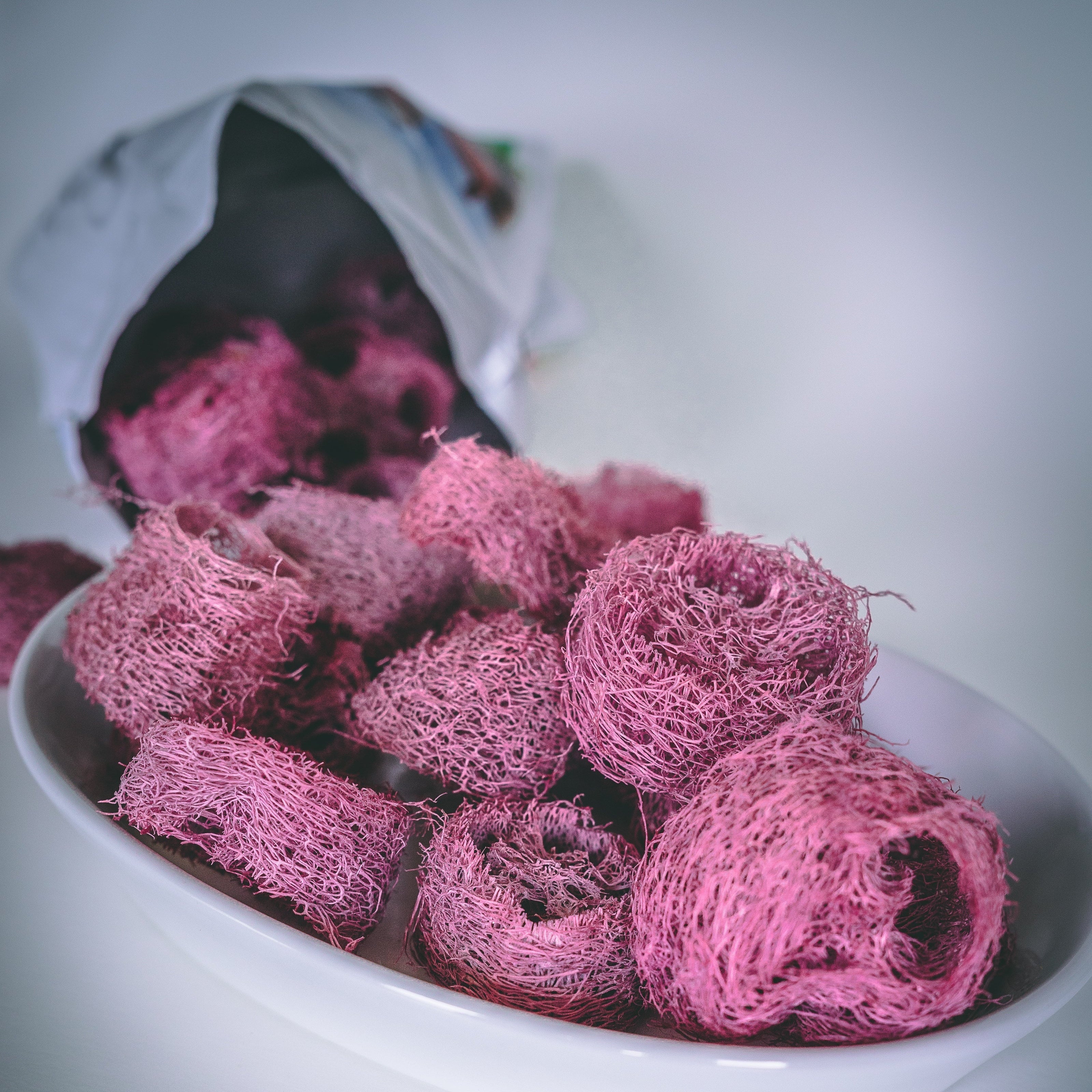 Fruit Flavored Loofah Chips - 10 Pack