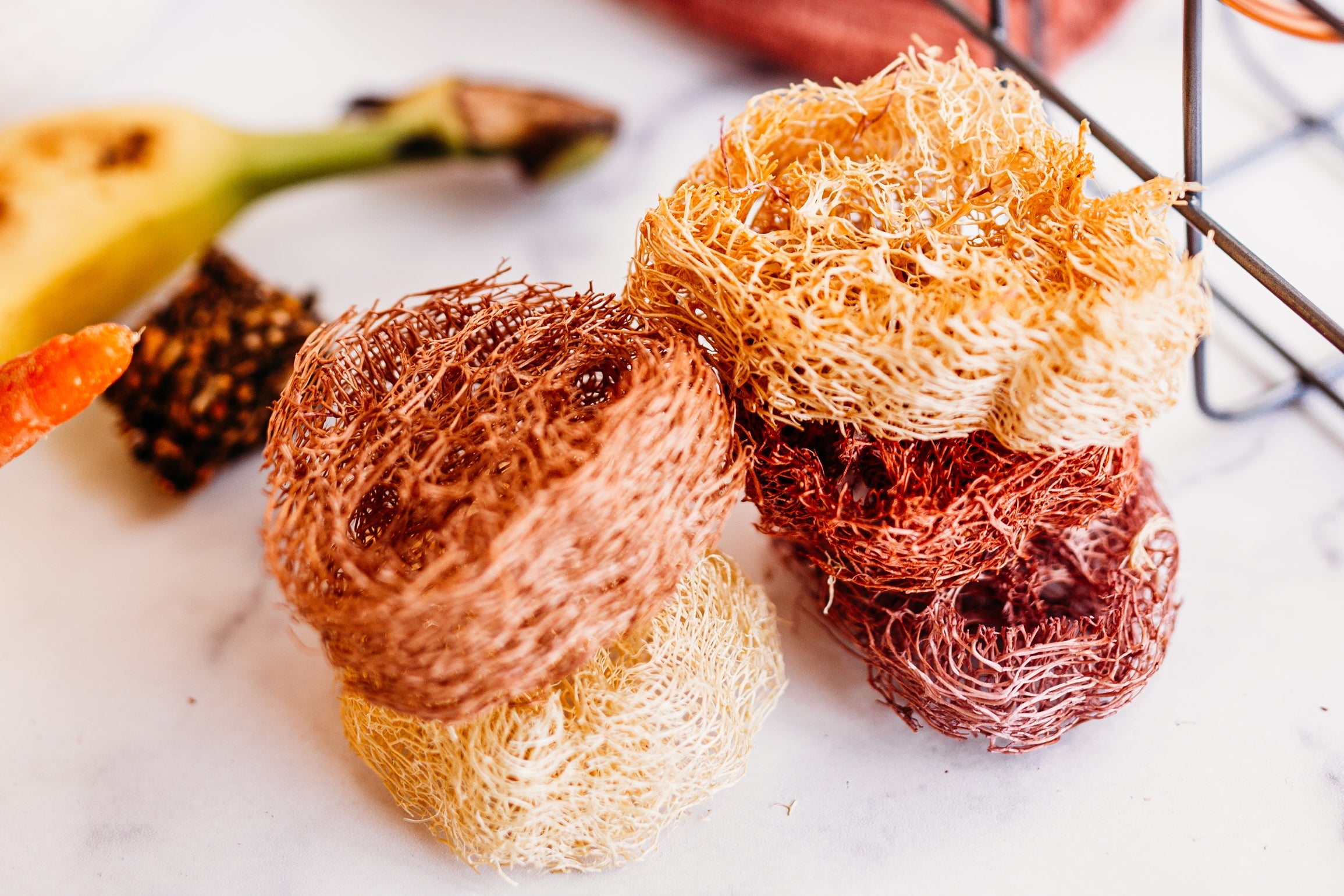 Fruit Flavored Loofah Chips - 10 Pack