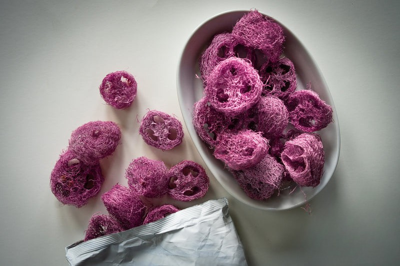 Fruit Flavored Loofah Chips - 10 Pack