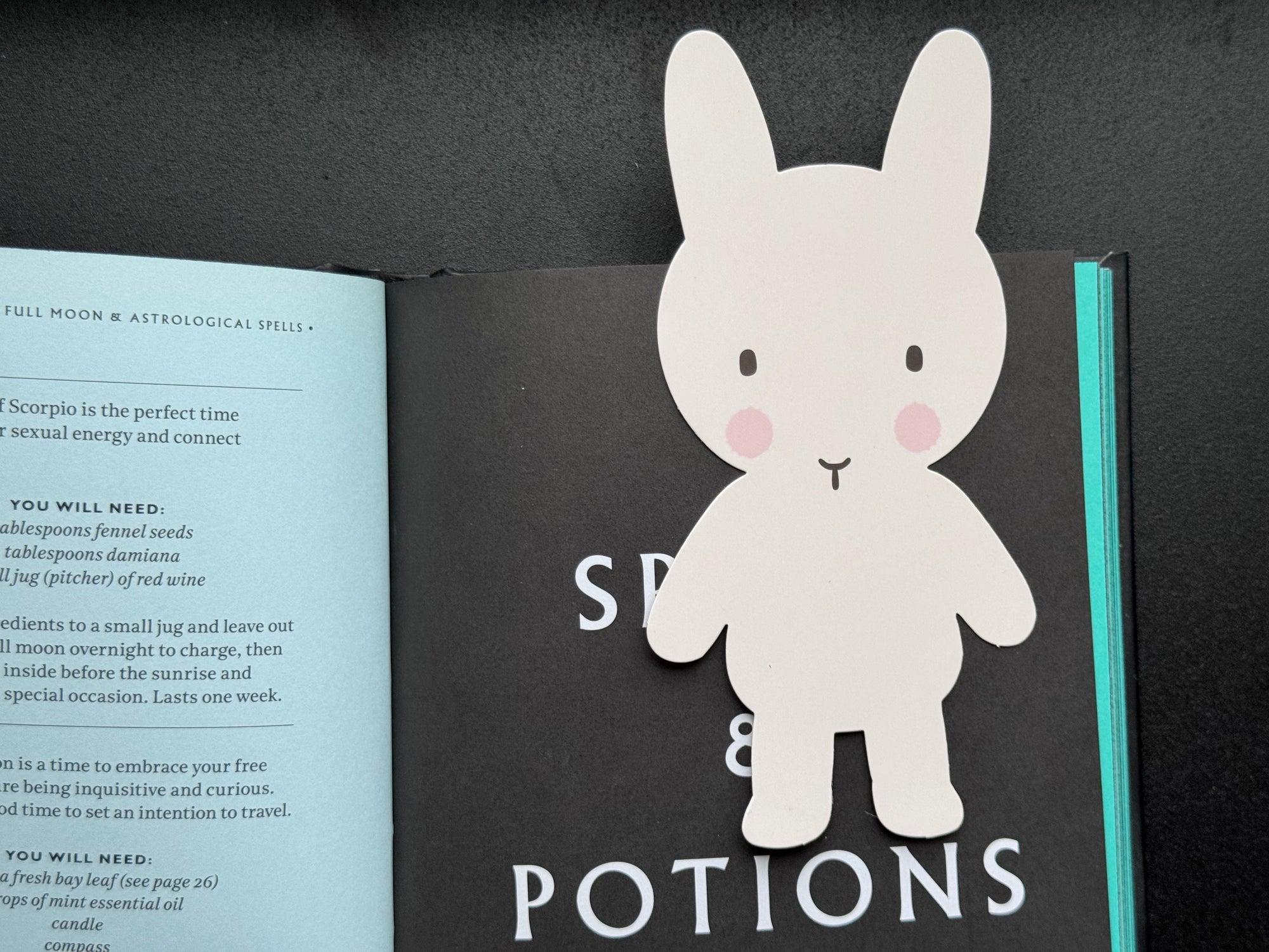 Clem the Bun Bookmark