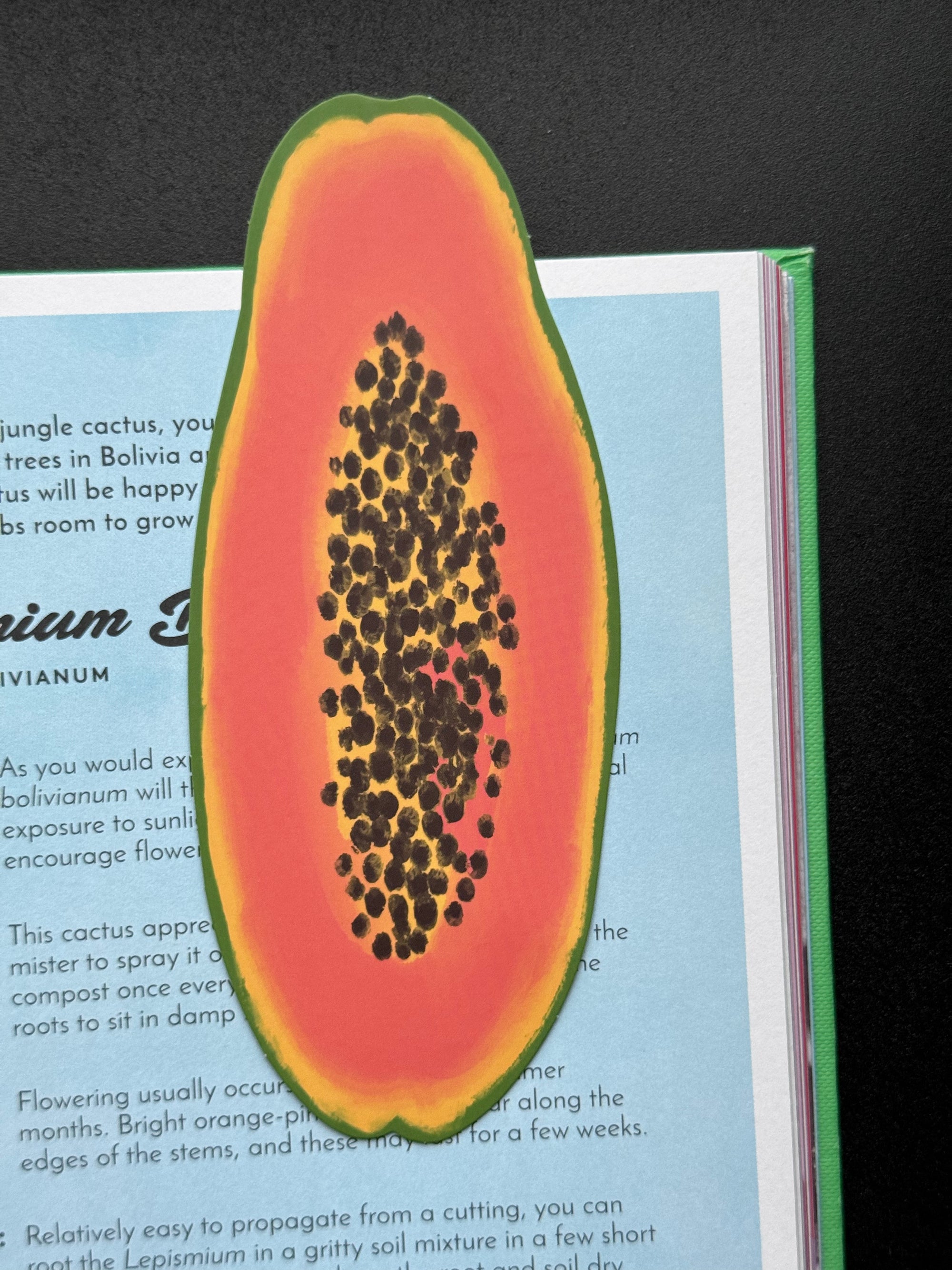 Papaya Bookmark