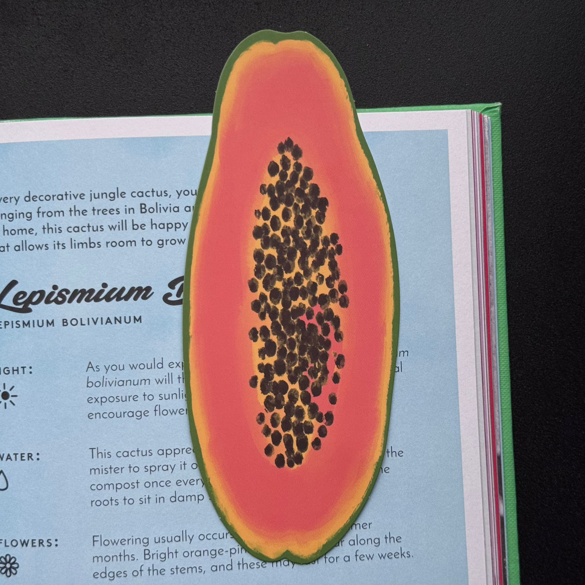 Papaya Bookmark