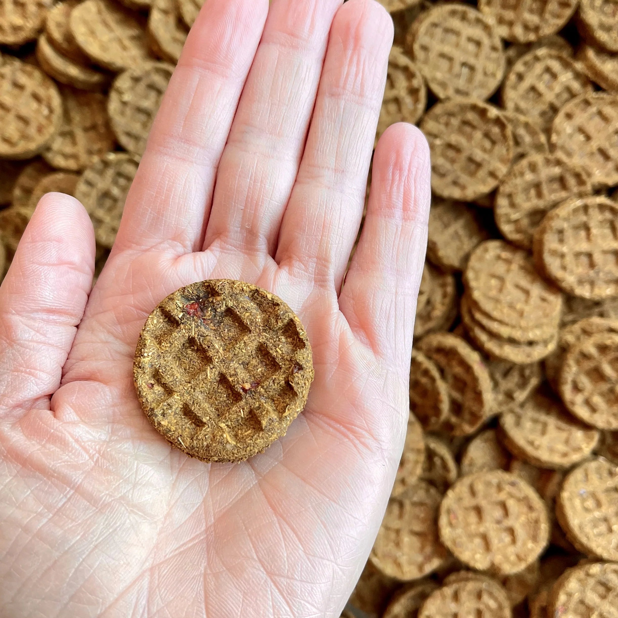 Nana-Berry Waffles