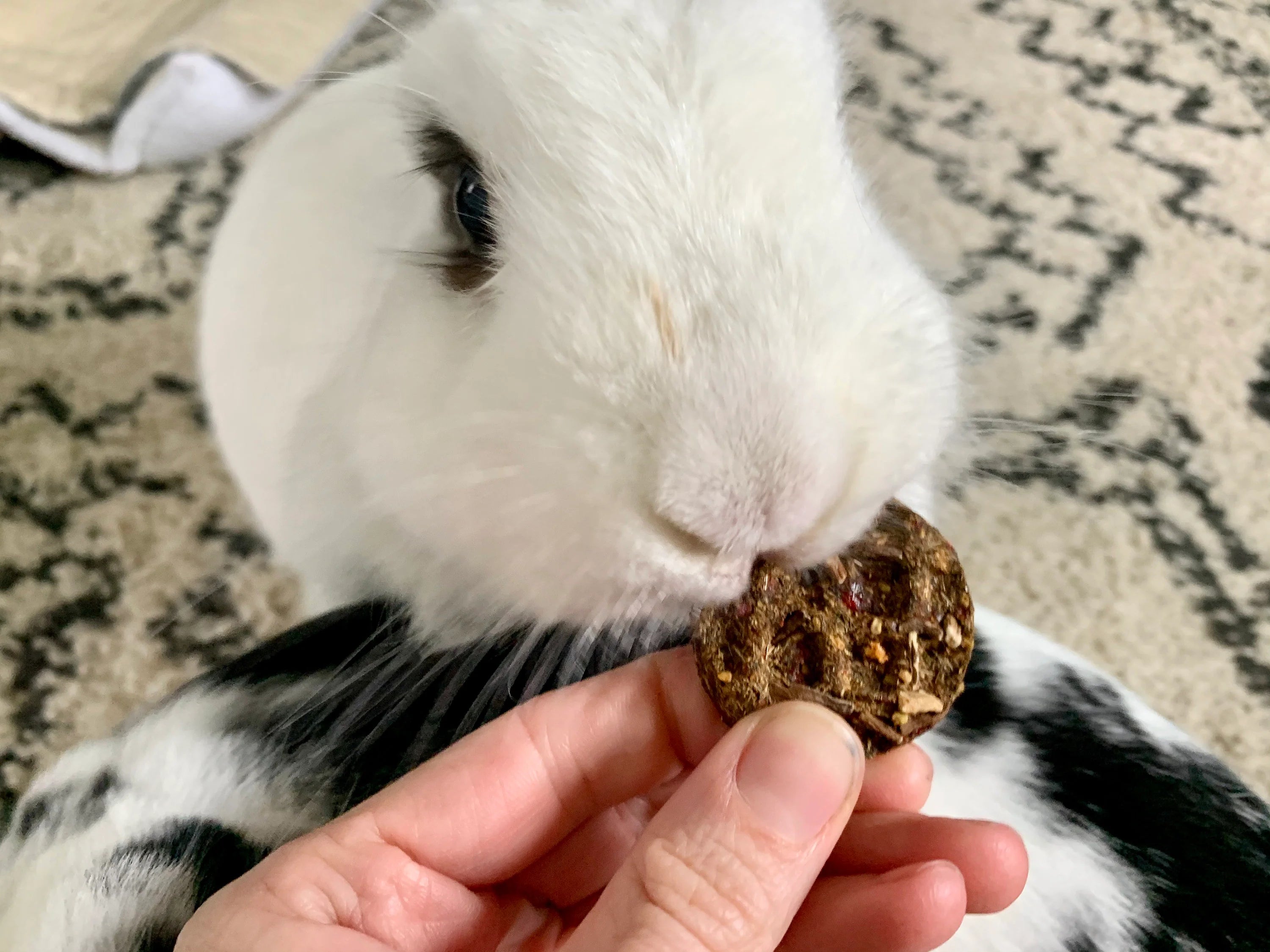 Nana-Berry Waffles