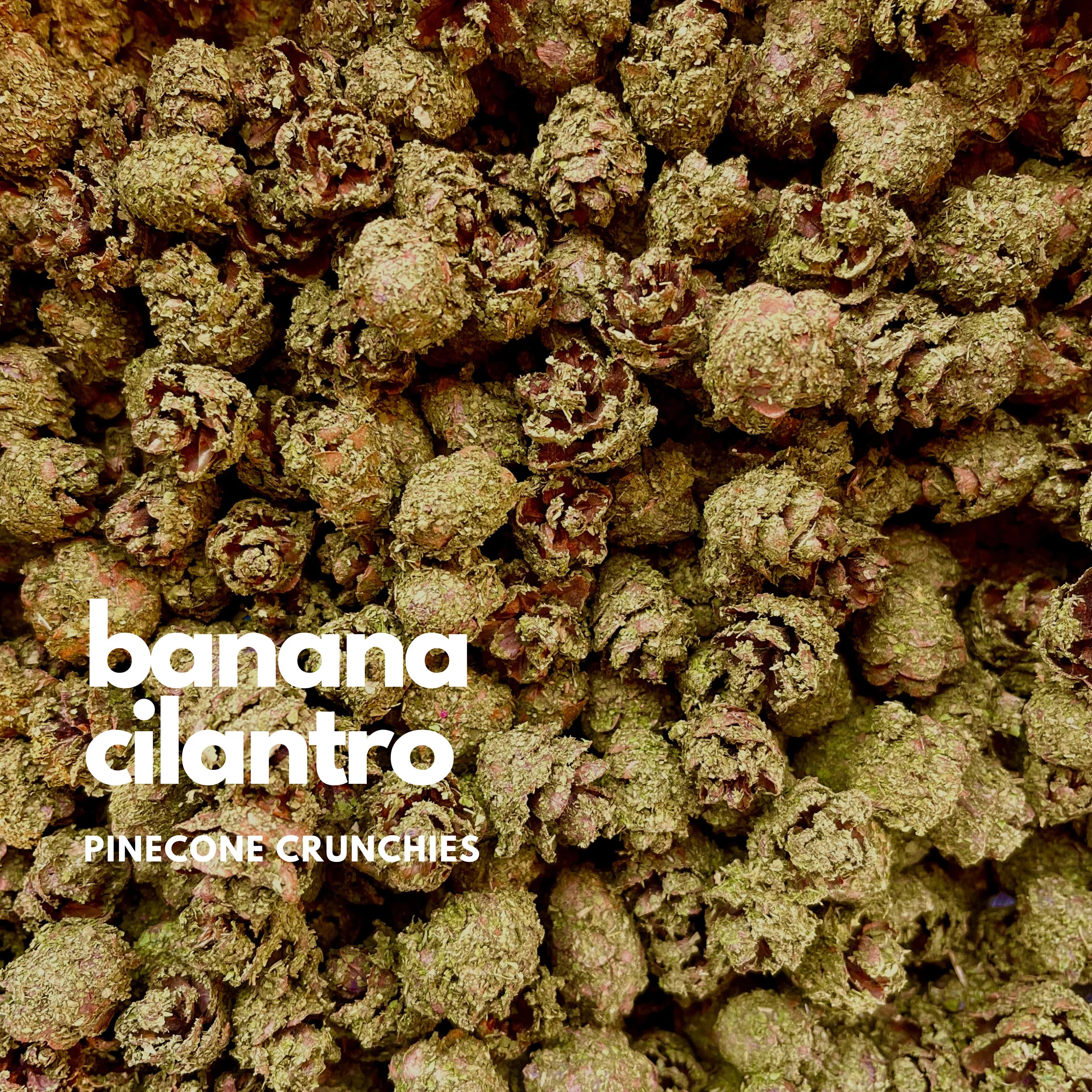 Pinecone Crunchies