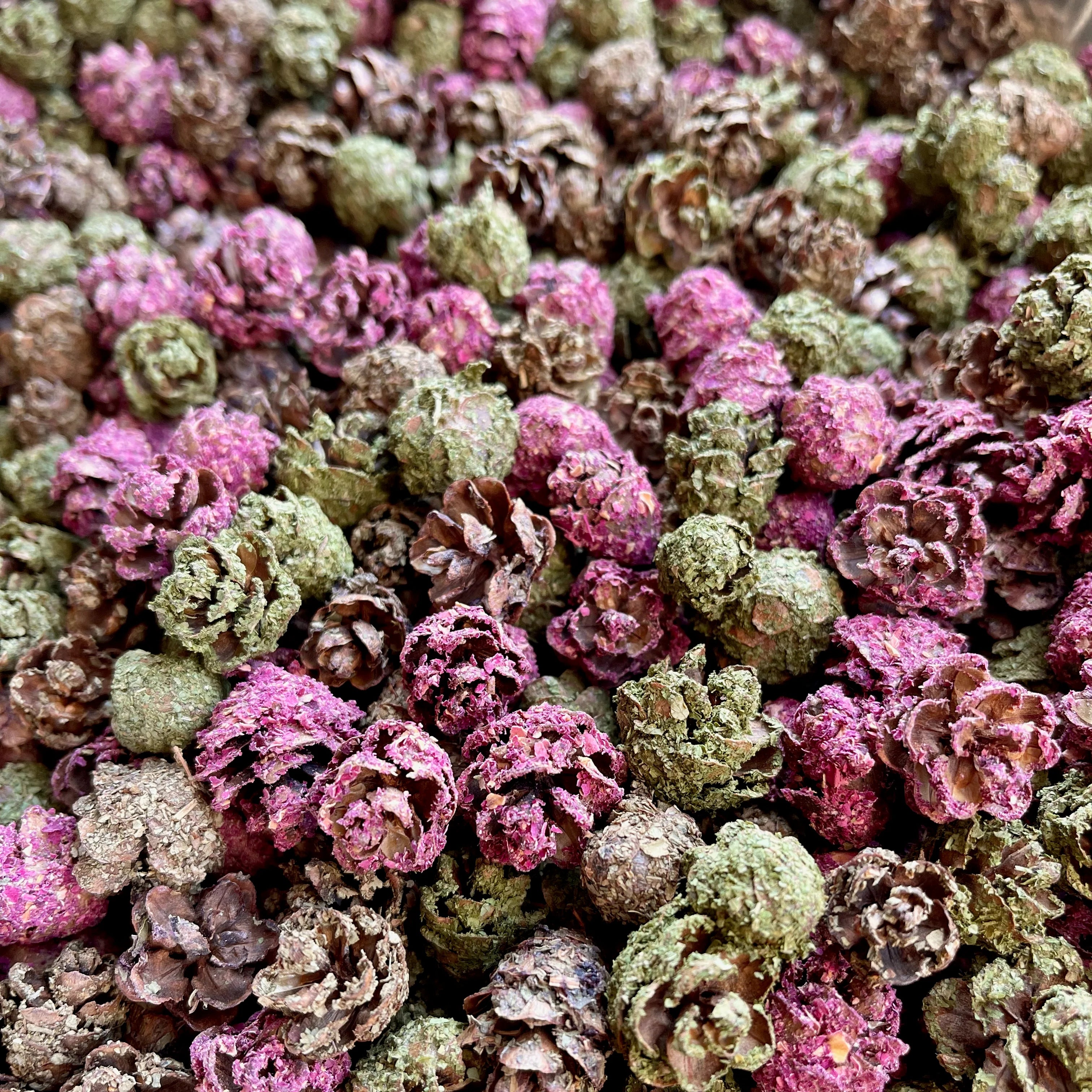 Pinecone Crunchies