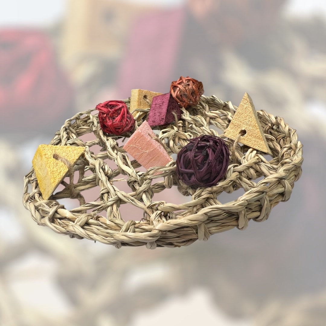 Fruity Pizza - Natural Fruit-Flavored Chew Toy