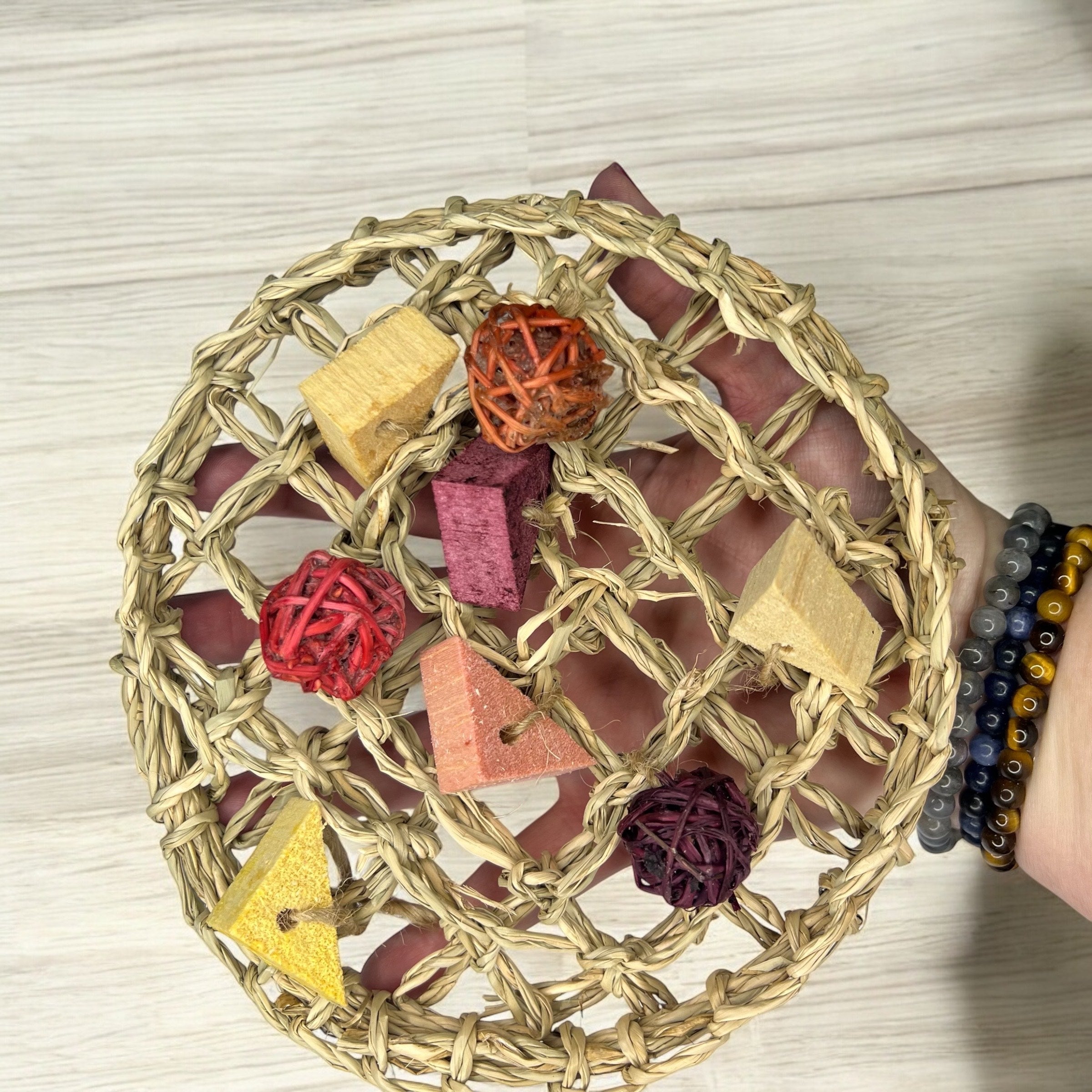 Fruity Pizza - Natural Fruit-Flavored Chew Toy