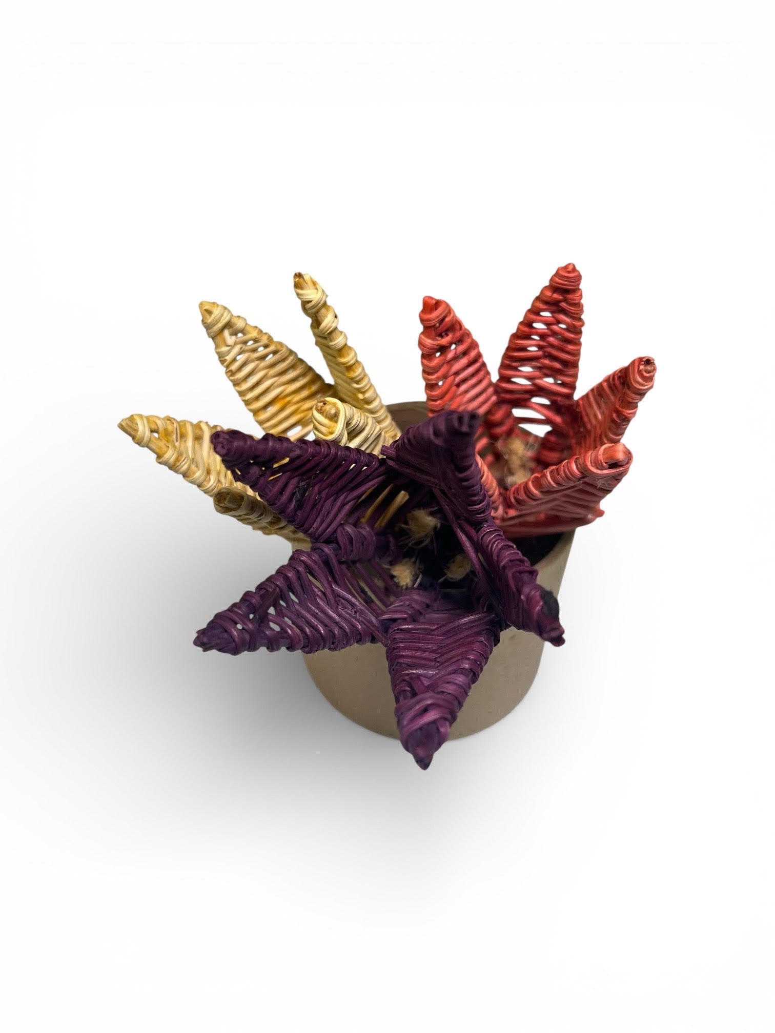 Tulip Trio - Enrichment Chew Set