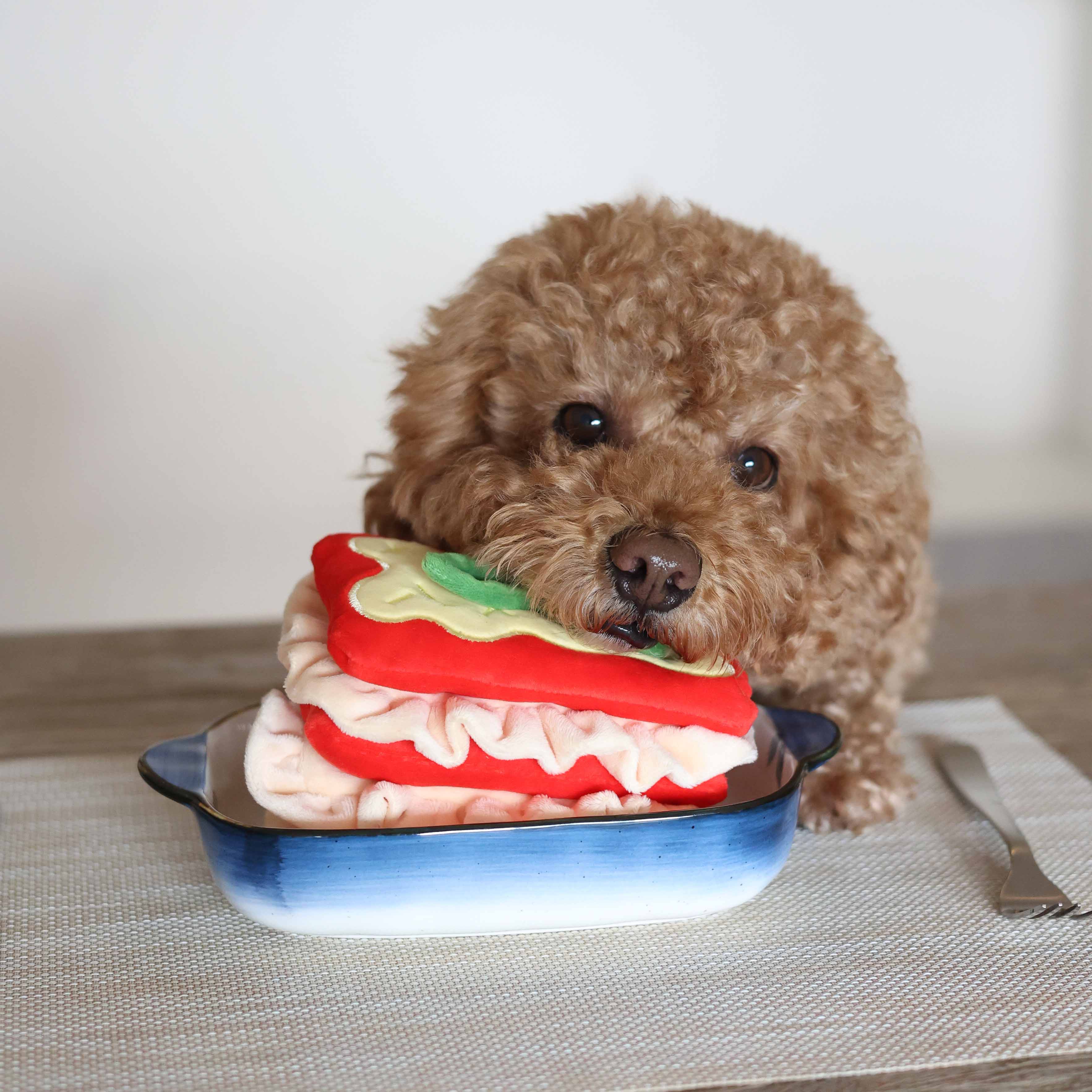 Lasagna Forage Toy