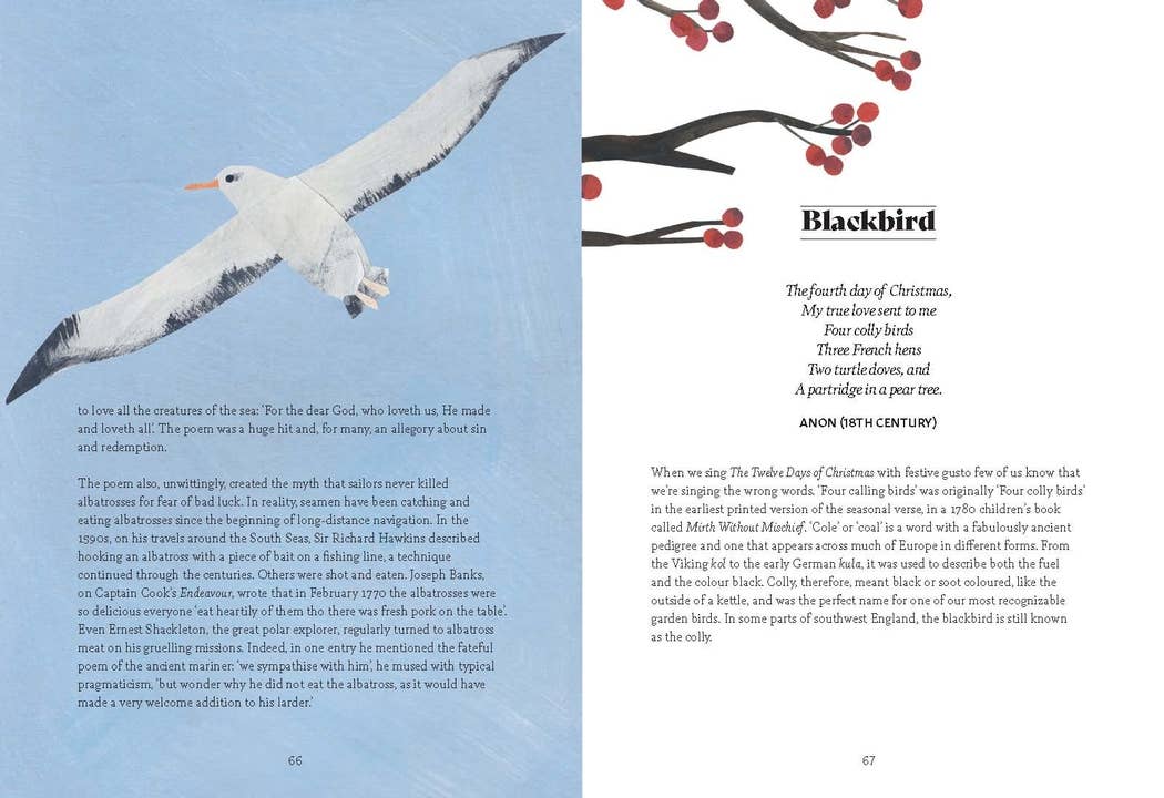 Bird Lore Book