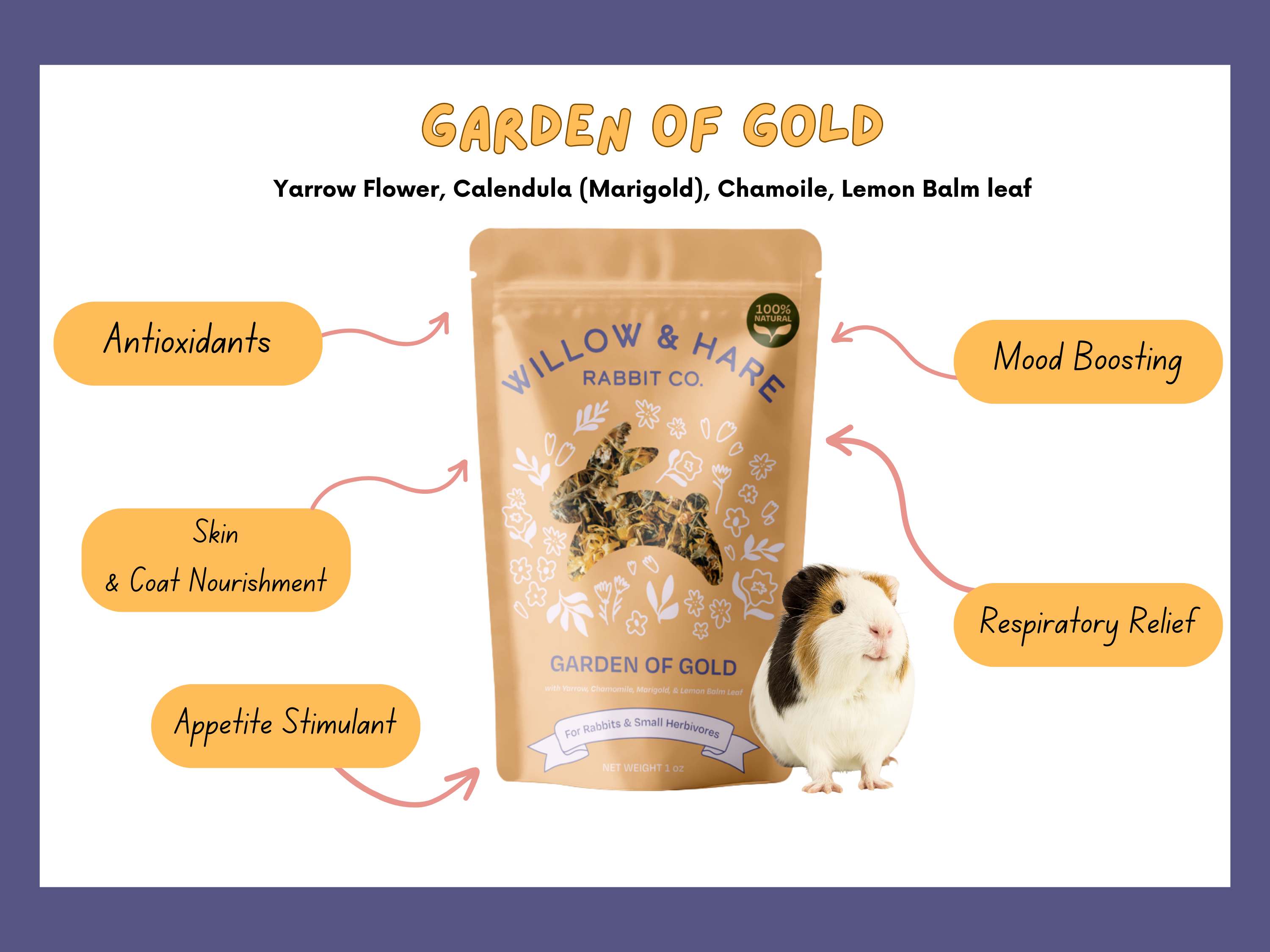 Garden of Gold Forage Blend