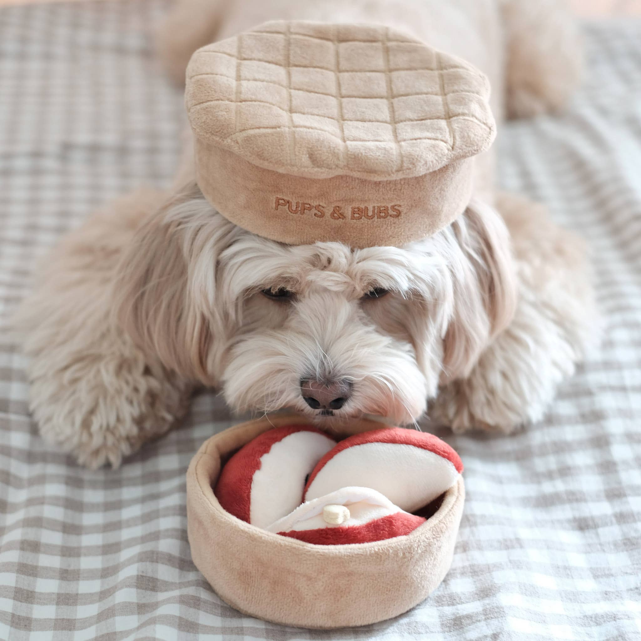 Apple Pie Forage Toy