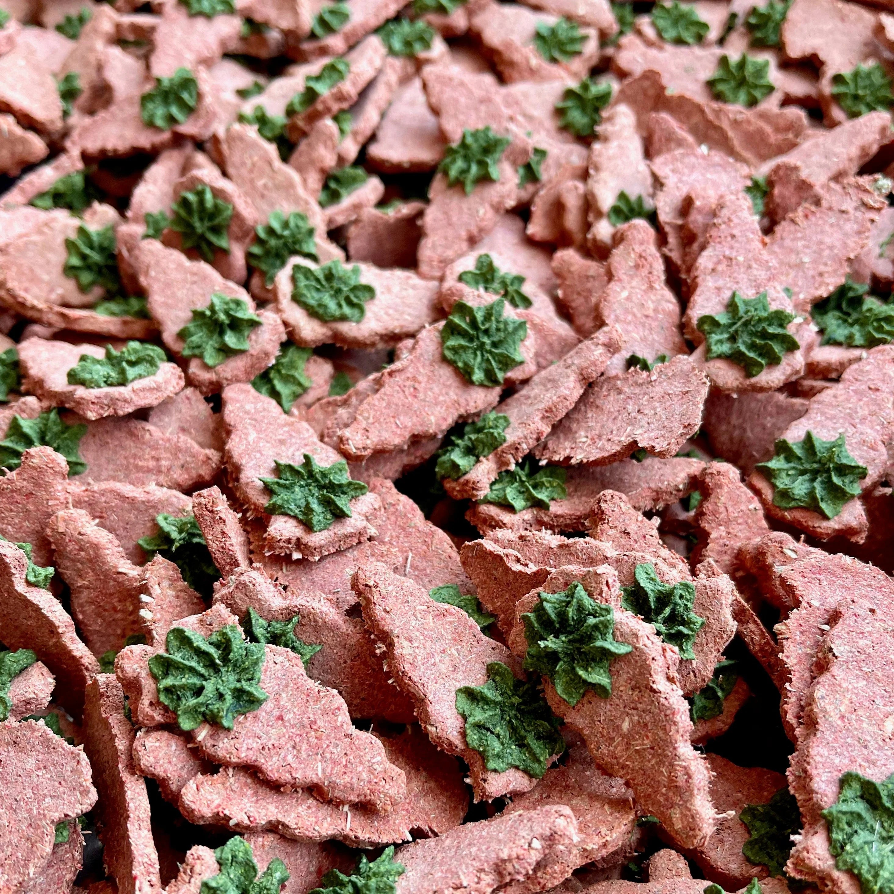 Carrot & Dill Digestives