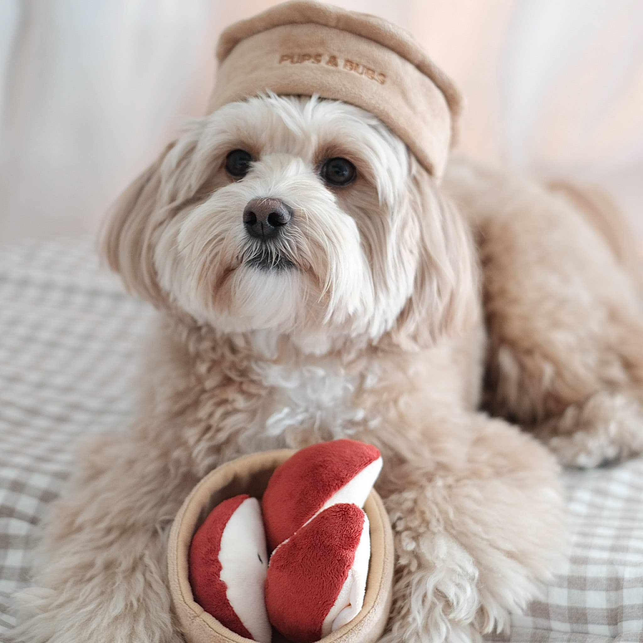 Apple Pie Forage Toy