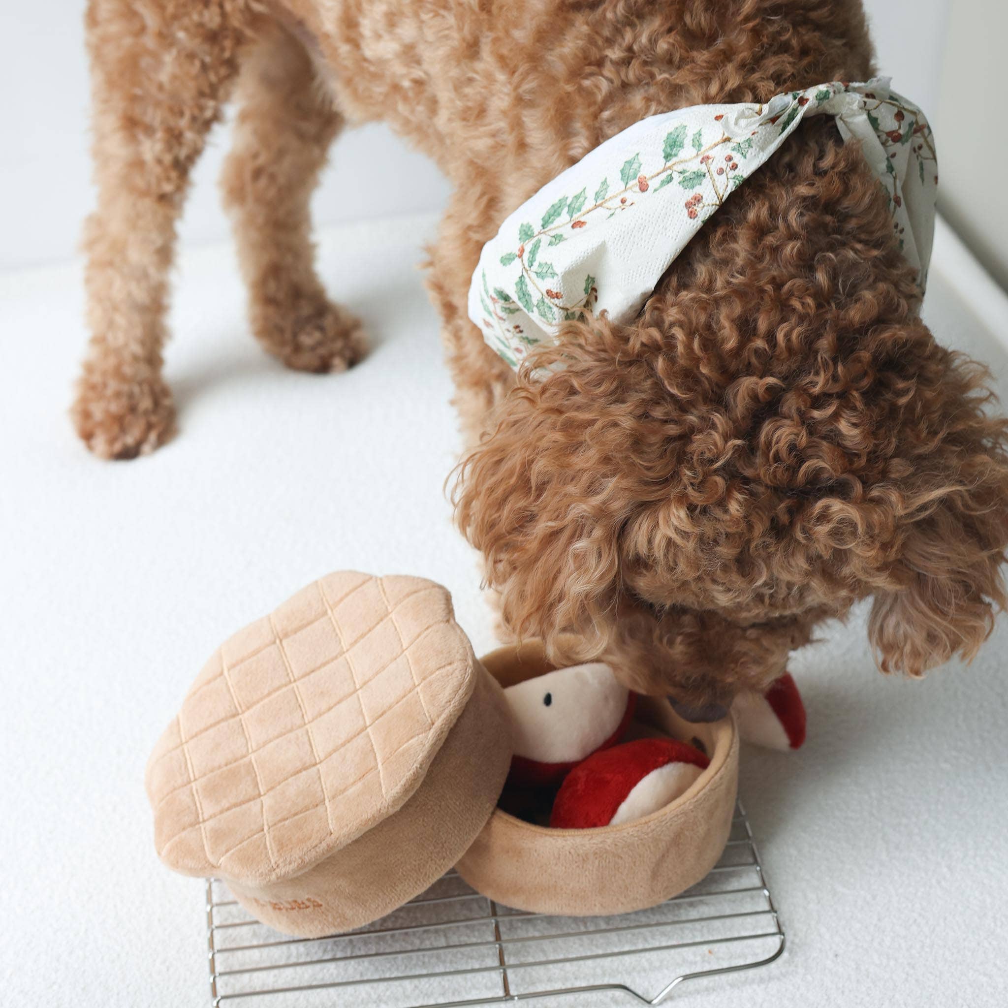 Apple Pie Forage Toy