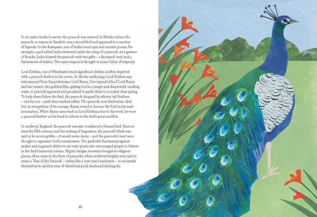 Bird Lore Book