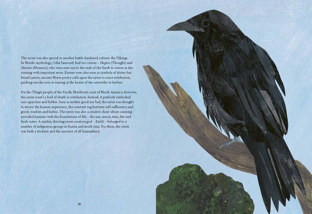 Bird Lore Book