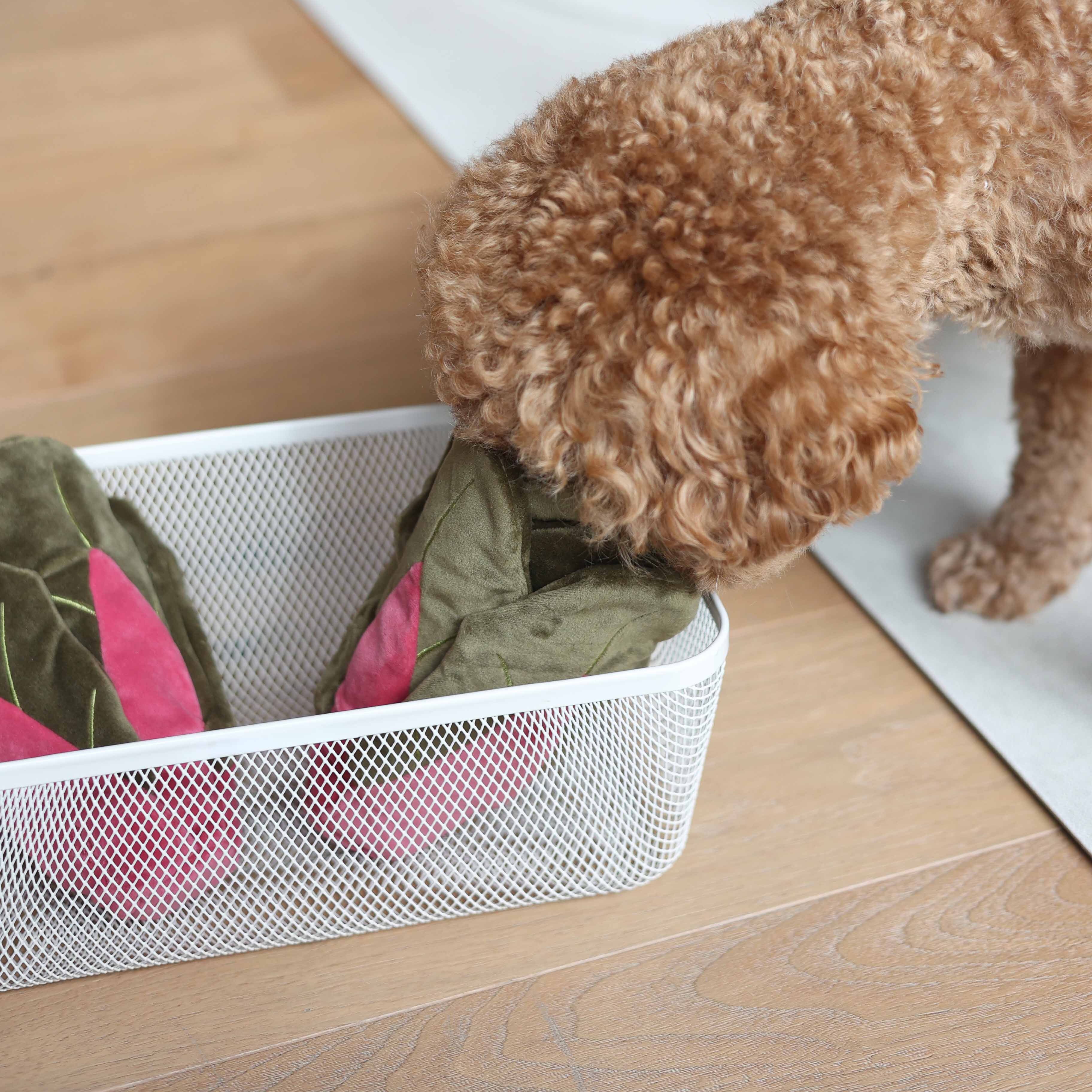 Snuffle Swiss Chard Forage Toy